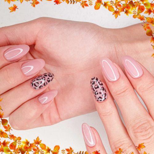 571459137_122110688373030450_5736279903838072071_n