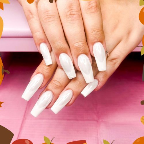 573274850_122110687329030450_6026190255140999830_n